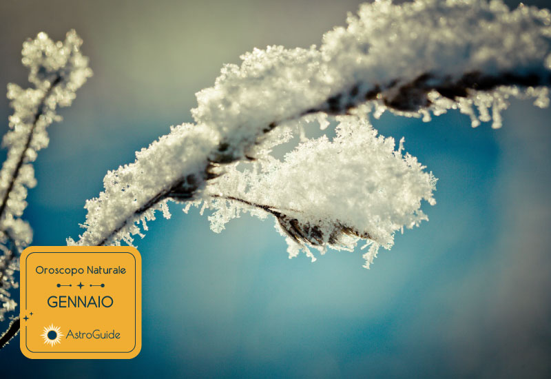 Oroscopo Naturale Gennaio_AstroGuide